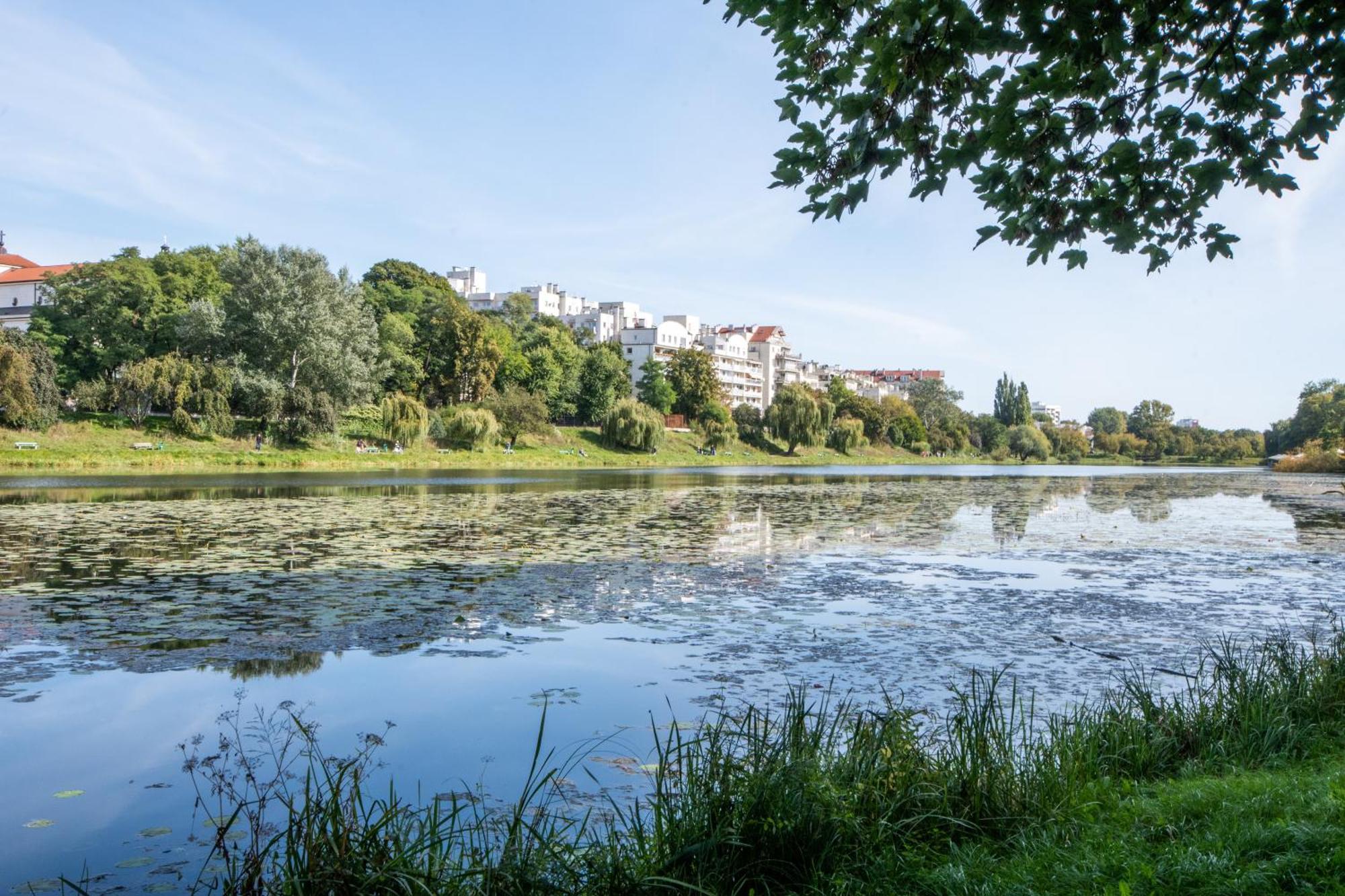 National Stadium Suits In Park Leilighet
